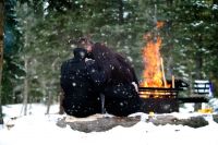 snuggles by the fire